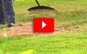 YouTube Fiskars QuikFit rake