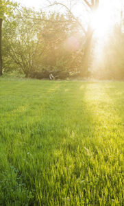 nat gras maaien