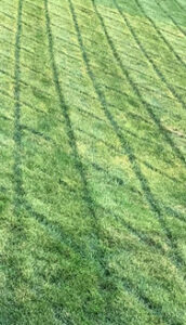 wiel sporen na nat gras maaien